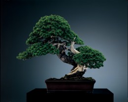 日本的