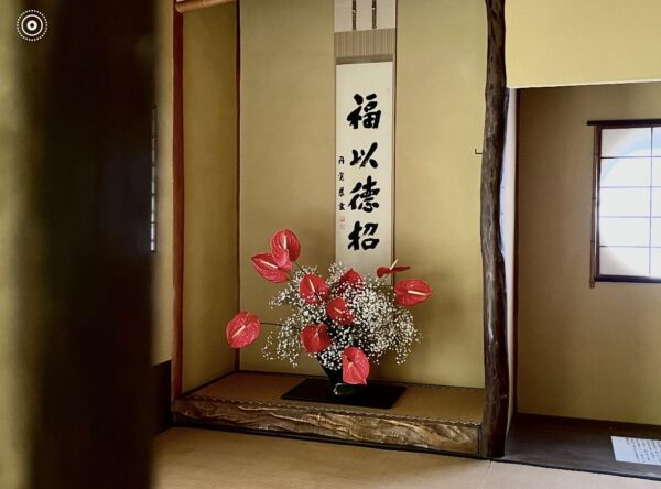 茶室にアンスリウム